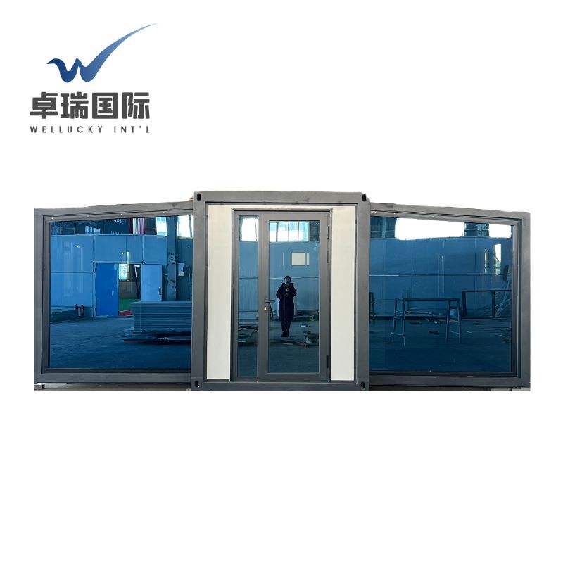 WELLUCKY 20ft 40ft Container Office Modular