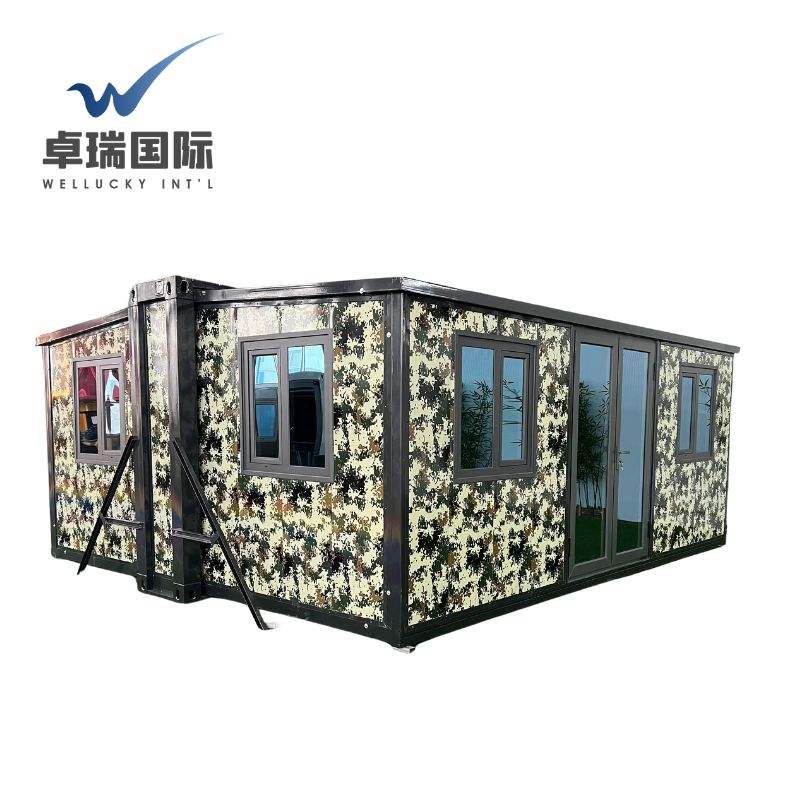 WELLUCKY Customized 40ft Container Home