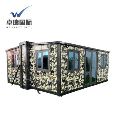 WELLUCKY Customized 40ft Container Home